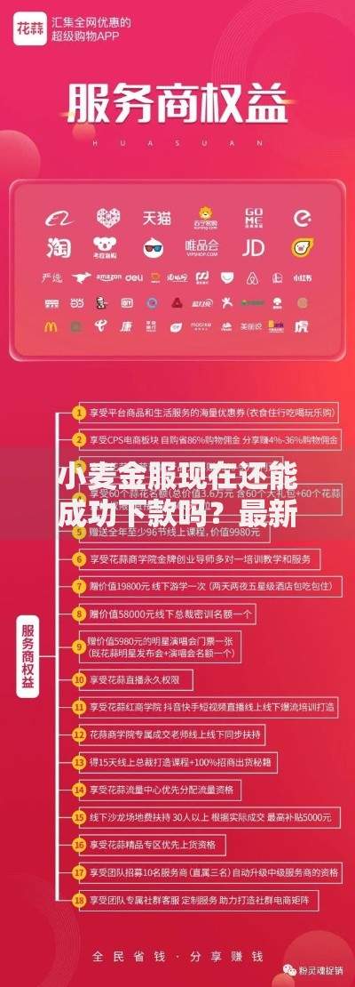 小麦金服现在还能成功下款吗？最新政策与用户实测解析