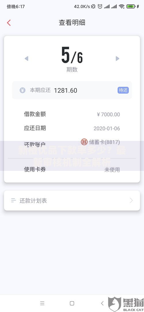 新橙优品下款率多少？最新审核机制全解析