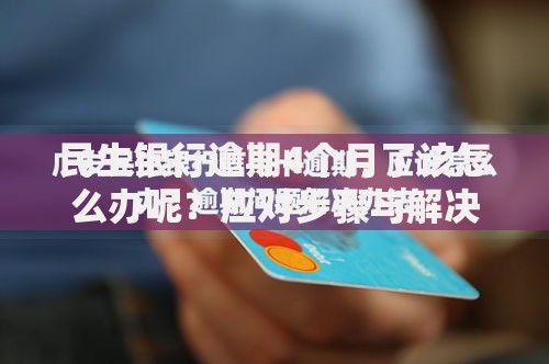 民生银行逾期4个月了该怎么办呢？应对步骤与解决方案解析
