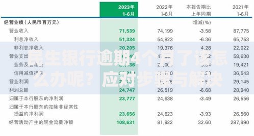 民生银行逾期4个月了该怎么办呢？应对步骤与解决方案解析