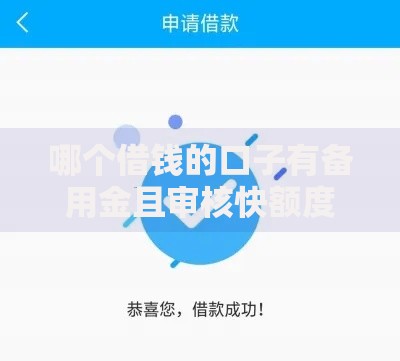 哪个借钱的口子有备用金且审核快额度高