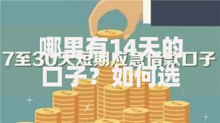 哪里有14天的口子？如何选择安全可靠的短期贷款渠道
