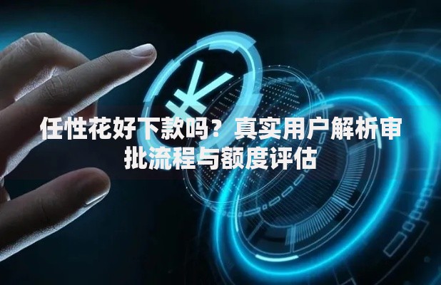 任性花好下款吗？真实用户解析审批流程与额度评估