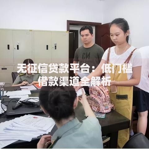 无征信贷款平台：低门槛借款渠道全解析