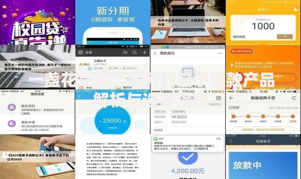 一盏花是哪个系列的口子贷款产品解析与选择指南