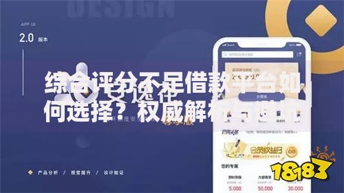 综合评分不足借款平台如何选择？权威解析与避坑指南