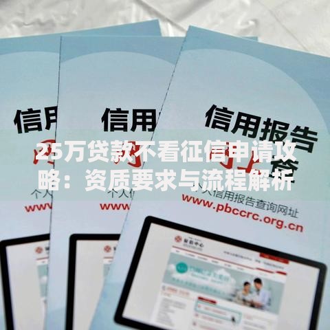 25万贷款不看征信申请攻略：资质要求与流程解析