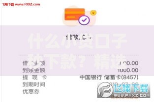 什么小贷口子秒下款？精选高通过率平台解析