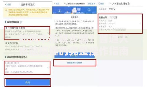 如何申报税步骤？普通人也能搞懂的完整操作指南