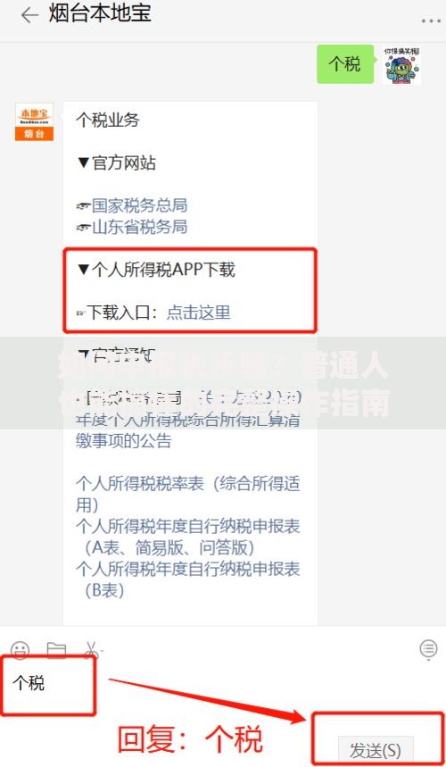 如何申报税步骤？普通人也能搞懂的完整操作指南