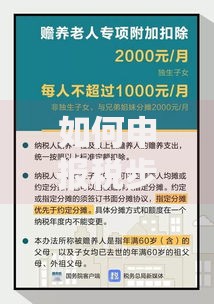 如何申报税步骤？普通人也能搞懂的完整操作指南