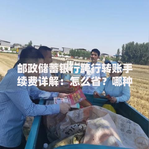 邮政储蓄银行跨行转账手续费详解：怎么省？哪种方式最划算？