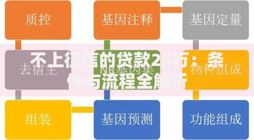 不上征信的贷款25万：条件与流程全解析