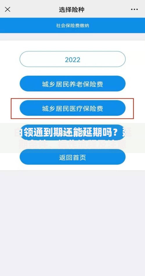 白领通到期还能延期吗？延期条件、操作流程及注意事项解析