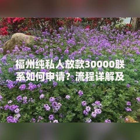 福州纯私人放款30000联系如何申请？流程详解及注意事项