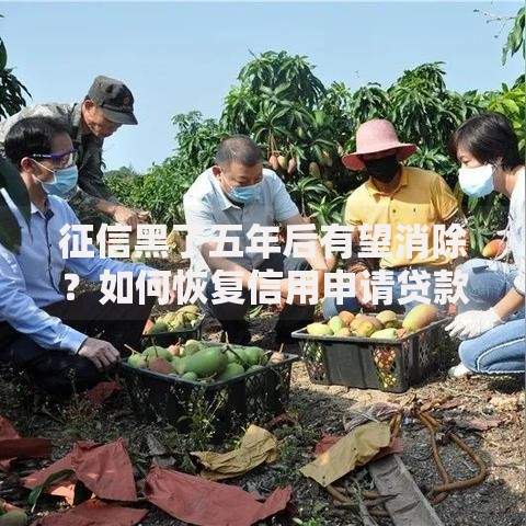征信黑了五年后有望消除？如何恢复信用申请贷款