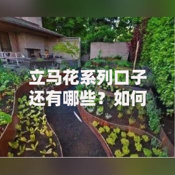 立马花系列口子还有哪些？如何申请？最新平台解析