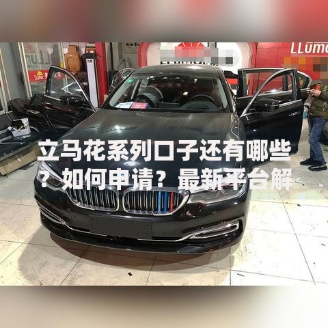 立马花系列口子还有哪些？如何申请？最新平台解析
