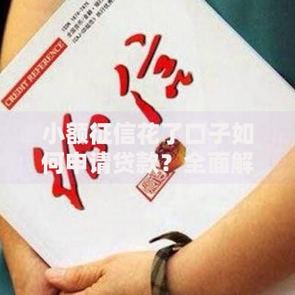 小额征信花了口子如何申请贷款？全面解析解决方案