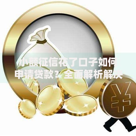 小额征信花了口子如何申请贷款？全面解析解决方案