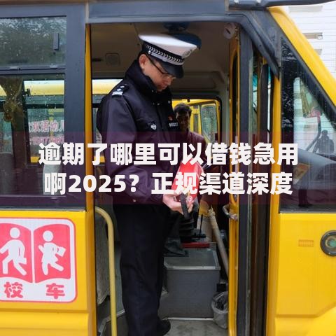 逾期了哪里可以借钱急用啊2025？正规渠道深度解析