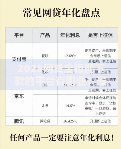 2025网贷全拒能下款的平台有哪些？最新解析与选择指南