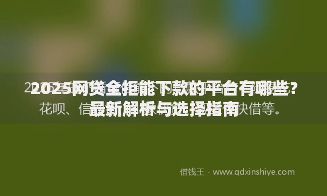 2025网贷全拒能下款的平台有哪些？最新解析与选择指南
