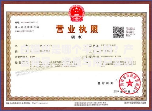 白猫贷是哪个平台的？产品背景、资质与用户实测解析