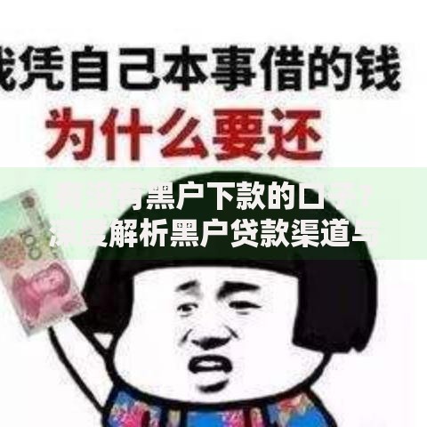 有没有黑户下款的口子？深度解析黑户贷款渠道与风险