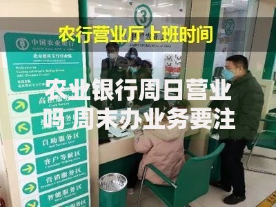 农业银行周日营业吗 周末办业务要注意这些细节