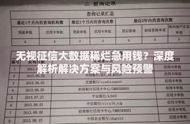 无视征信大数据稀烂急用钱？深度解析解决方案与风险预警