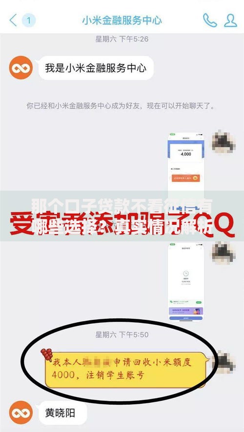 那个口子贷款不看征信有哪些选择？真实情况解析