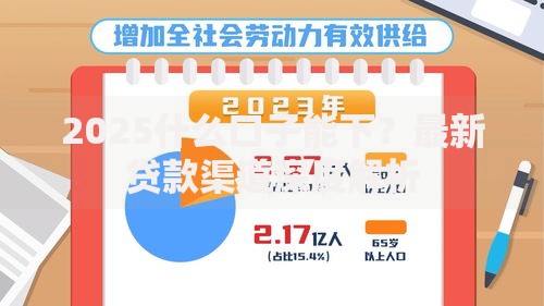 2025什么口子能下？最新贷款渠道深度解析