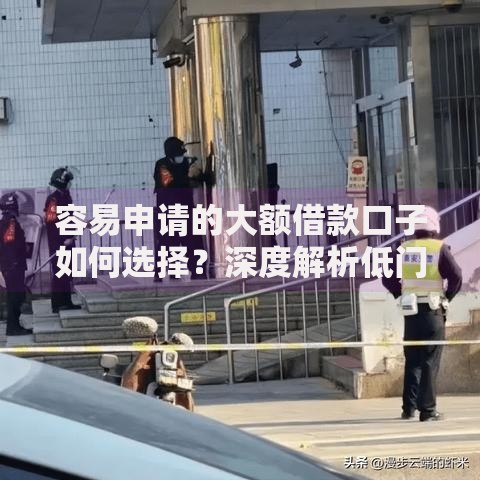 容易申请的大额借款口子如何选择？深度解析低门槛贷款方案