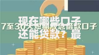 现在哪些口子还能贷款？最新正规渠道深度解析