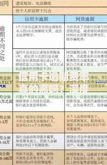 信用卡逾期费率真的高吗？深度解析逾期成本与应对策略