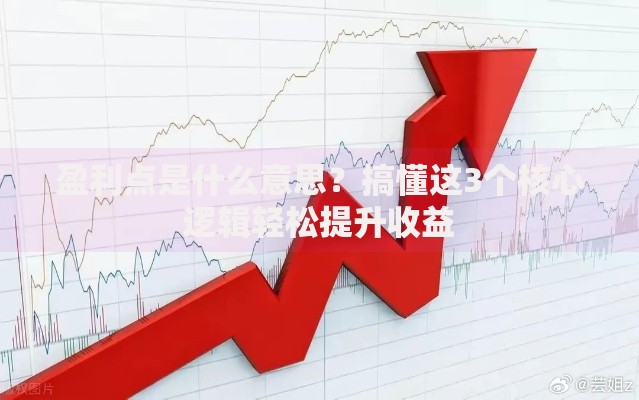 盈利点是什么意思？搞懂这3个核心逻辑轻松提升收益