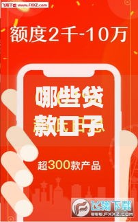 哪些贷款口子容易贷的？如何选择高通过率渠道