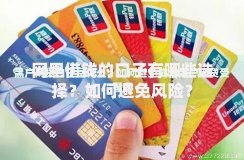 网黑借钱的口子有哪些选择？如何避免风险？