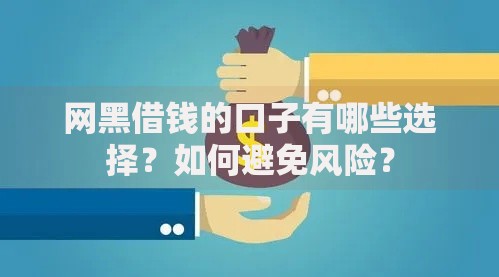 网黑借钱的口子有哪些选择？如何避免风险？