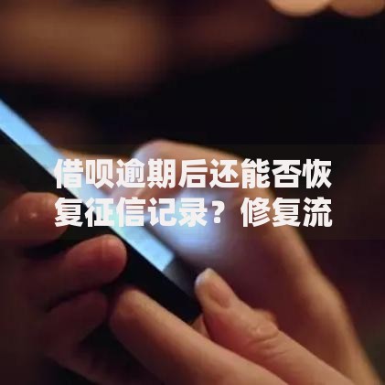 借呗逾期后还能否恢复征信记录？修复流程全解析