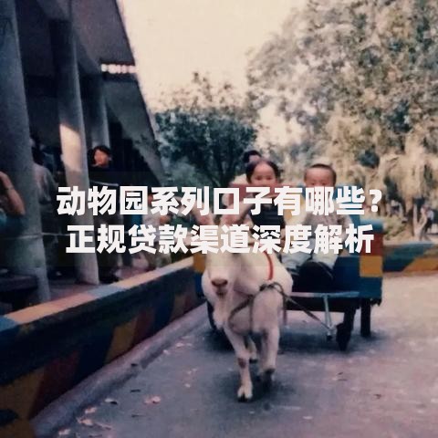 动物园系列口子有哪些？正规贷款渠道深度解析