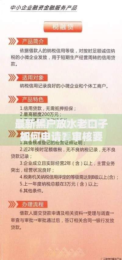 最新黑户放水老口子如何申请？审核要求与风险解析