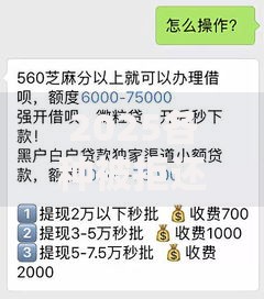 2025各种被拒还能下款的平台有哪些？最新审核机制解析