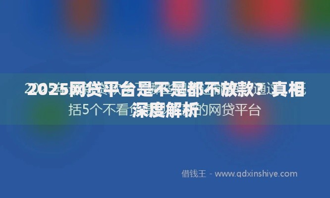 2025网贷平台是不是都不放款？真相深度解析