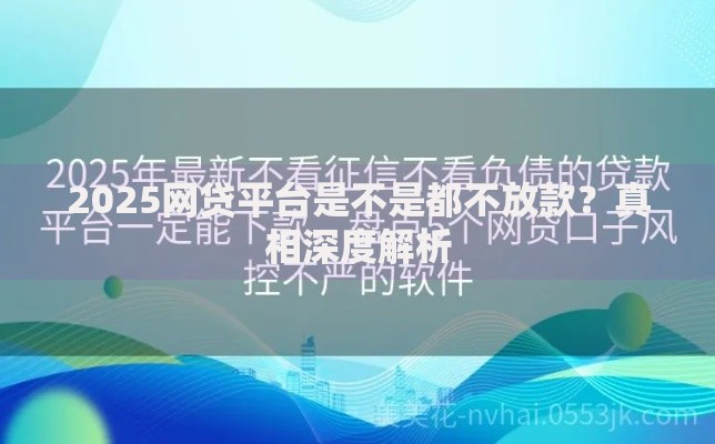 2025网贷平台是不是都不放款？真相深度解析