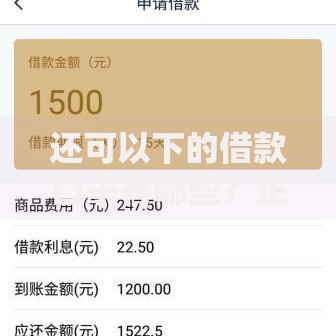 还可以下的借款口子有哪些？正规平台选择与风险解析