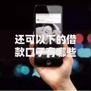 还可以下的借款口子有哪些？正规平台选择与风险解析