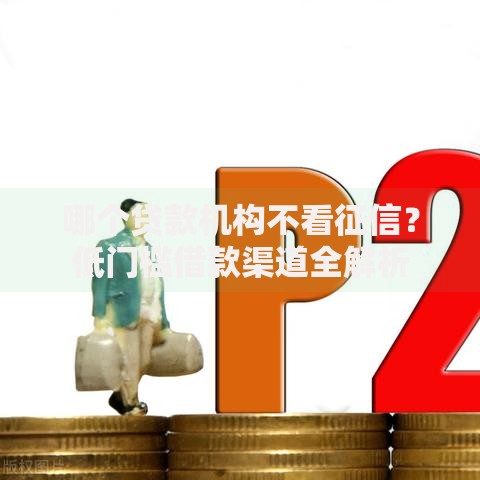 哪个贷款机构不看征信？低门槛借款渠道全解析