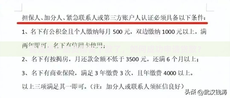 我是黑户助贷帮我下款了，如何成功申请贷款？